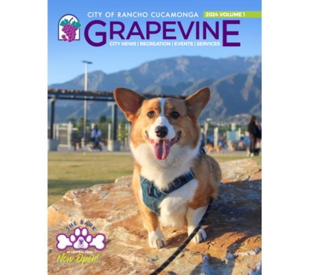 Grapevine 2024 Volume 1 City Of Rancho Cucamonga   Grapevine Web Spotlight (450 X 400 Px) 0 